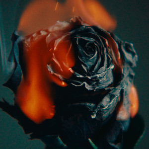 女女女女BBBBBB毛片视频
